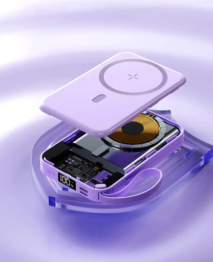 Zepolde MS PowerBank 2